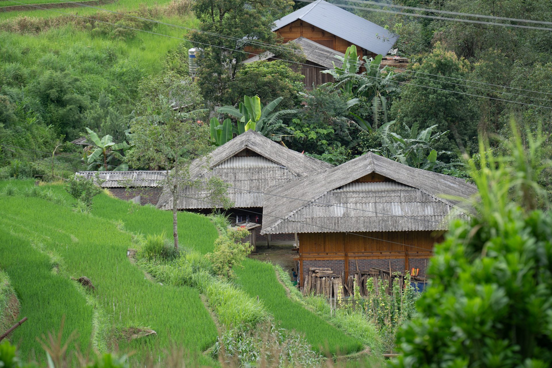 Traditional wooden homes nestled among vivid green rice terraces in Tả Van